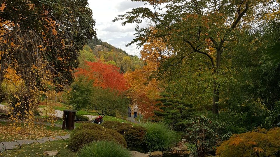 Podzimní snímek z Japonské zahrady