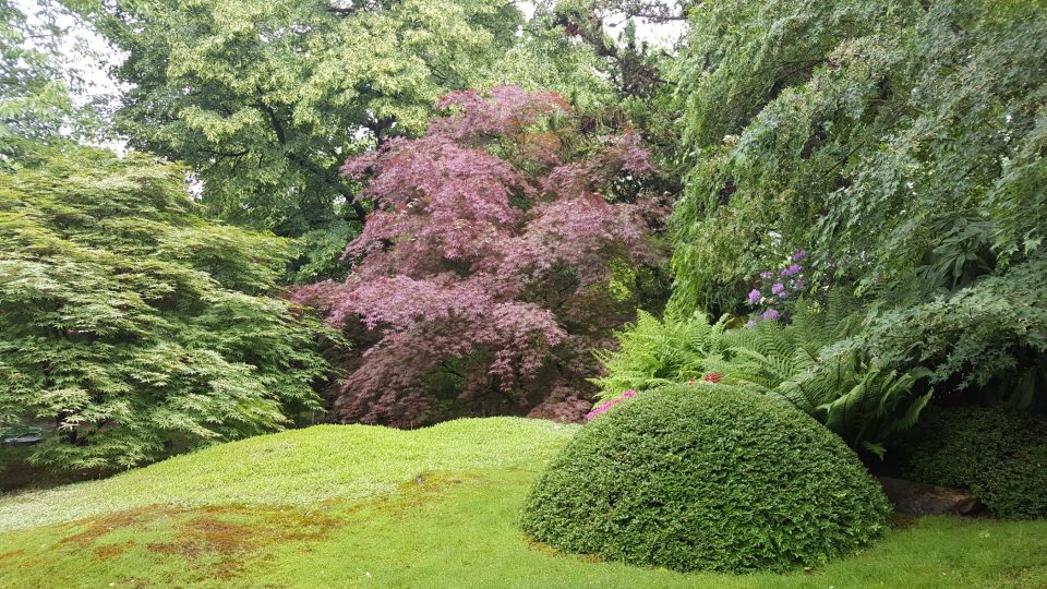 V zahradě můžete vidět jednu z největších sbírek kultivarů japonských javorů v ČR