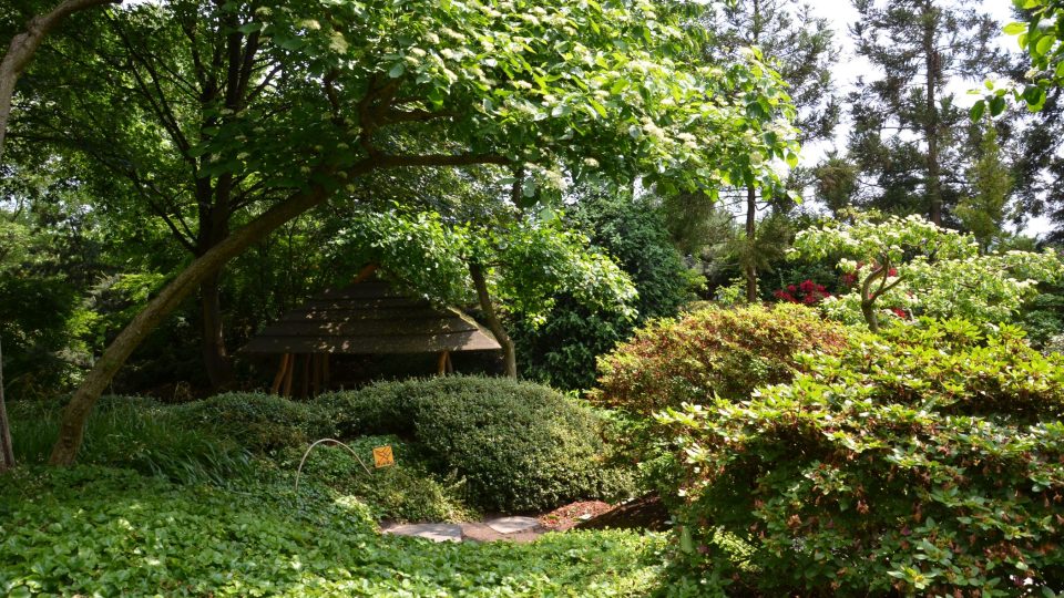 Pro veřejnost byla Japonská zahrada otevřena v roce 1997