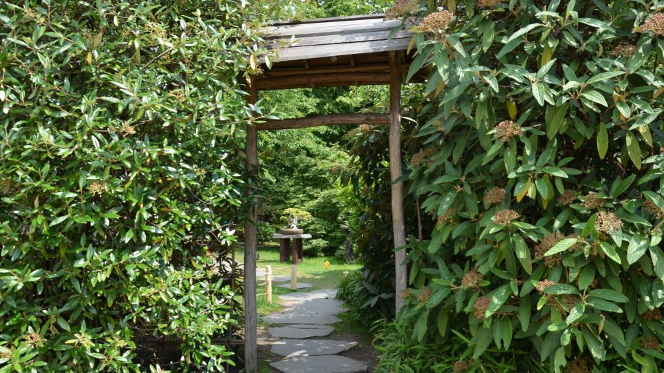 Vstup do Japonské zahrady