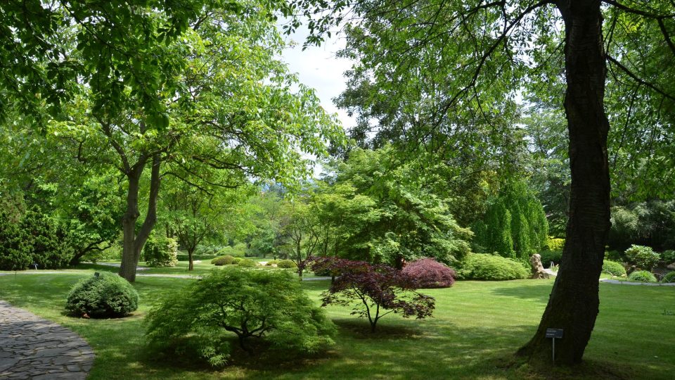 Japonská zahrada, to je místo pro uvolnění mysli a meditaci